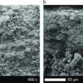 Sem Images Of The Surface Of The Ysz Coating Left And The Fractured