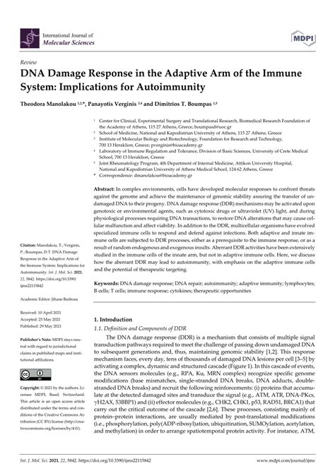 Pdf Dna Damage Response In The Adaptive Arm Of The Immune System Implications For Autoimmunity