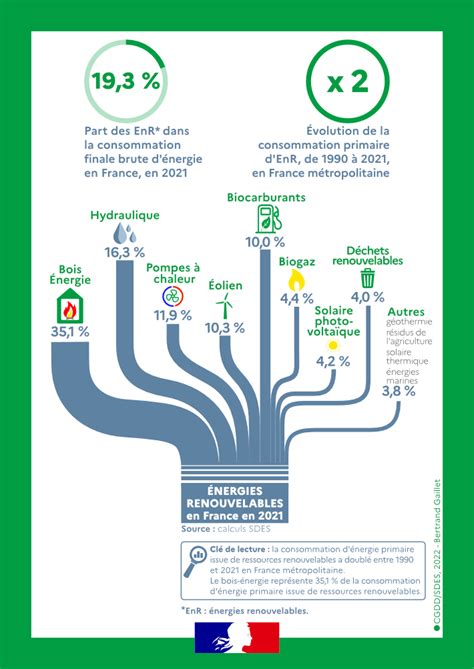 Chiffres Clés Des énergies Renouvelables Édition 2022 Données Et