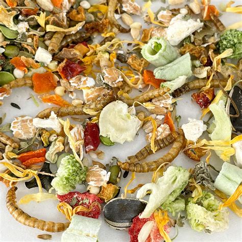 Syrian Hamster Food Mix 500g Juvenile Young Adult - Etsy