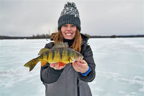 Ice Fishing For Perch In Ontario Tips And Equipment Sail Blog
