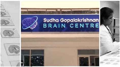 How new IIT Madras centre will map human brains — one thin slice at a time