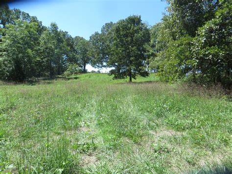 Thayer, Oregon County, MO Undeveloped Land, Lakefront Property