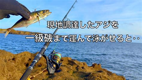 釣ったアジで「夜の漁港」と「潮通しの良い磯」で泳がせ釣りしてみた結果‥ Youtube