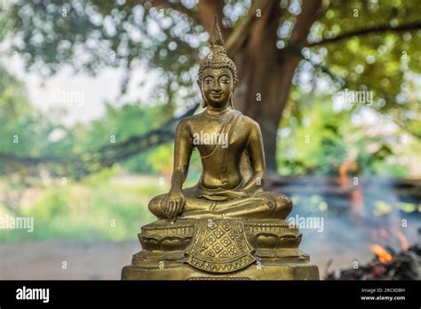 Buddha Statue In Nature Backgroundbeautiful Gold Color Buddha Statue