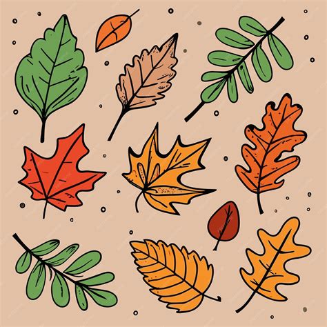 Premium Vector Set Of Autumn Leaves Simple Flat Cartoon Vector