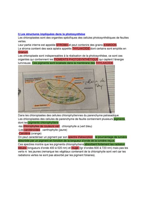 La Plante Productrice De Mati Re Organique I Les Structures