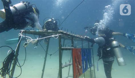 FOTO Perbaiki Ekosistem Laut Pegawai BNI Tanam Terumbu Karang Foto