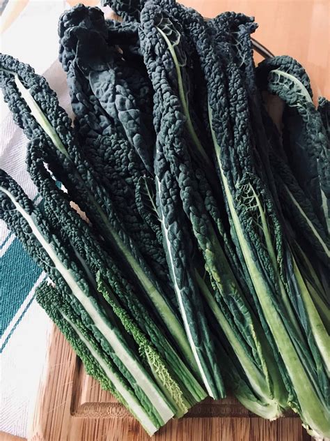 Cavolo Nero The Tuscan Kale Uk