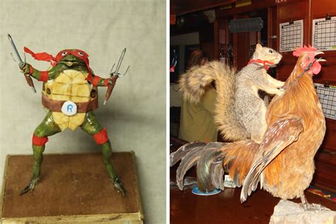 Bad Taxidermy” 35 Examples Of Taxidermy Thats So Horrific Its Funny