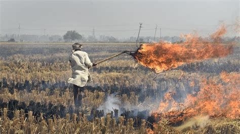 Stubble Burning In North India Pollutes Central And Southern States Too