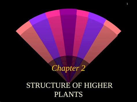 Ppt Chapter Structure Of Higher Plants Gymnosperms And