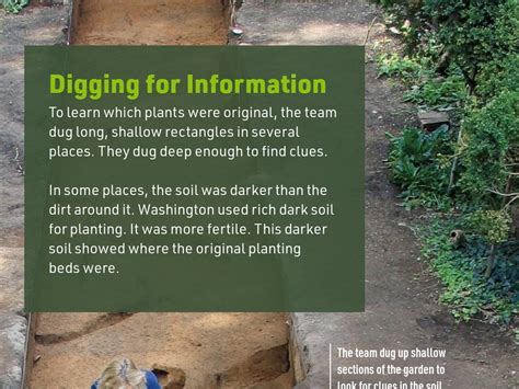 Digging for Information & Digging Deeper - Digging Up History ...