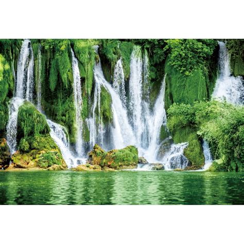 Spring Forest Photography Backdrop Tropical Jungle Rainforest Adventure