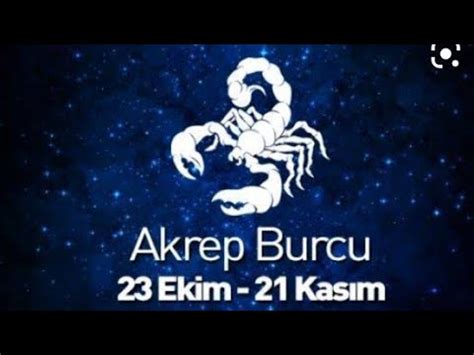 Akrep Burcu Ek M Nc Haftas Kad N Erkek Tarot Yorumu Youtube