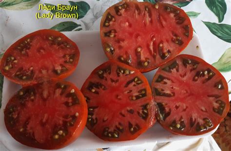 Томат Леди Браун: описание сорта, отзывы, фото, урожайность | tomatland.ru