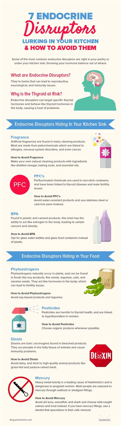 7 Endocrine Disruptors Lurking In Your Kitchen And How To Avoid Them Endocrine Disruptors