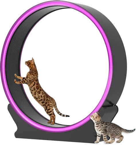 Miwooyy Large Cat Exercise Wheel With Led Lights 40 Inch