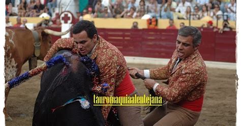 Tauromaquia Alentejana Vora Dia Grande Concurso De Ganadarias