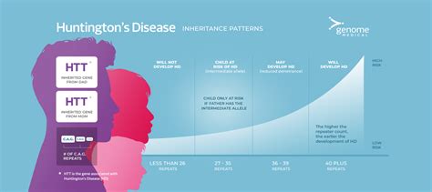 What Is The Huntingtons Disease Inheritance Pattern Genome Medical