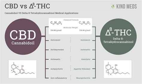 Experience A New Kind Of High With Delta 8 Thc Kind Meds Az