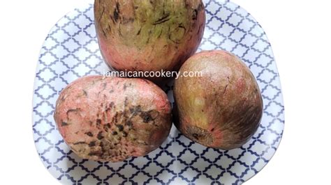 Fruit In Jamaica Custard Apple Jamaican Cookery