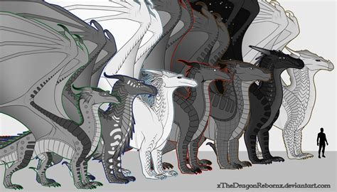 Wof Headcanon Average Size Chart By Xthedragonrebornx On Deviantart