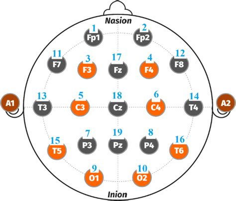 The Order Of EEG Recording Channels EEG Signals Were Recorded From 19