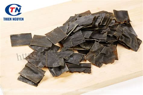 Lợi ích của Laminaria japonica đối với sức khỏe