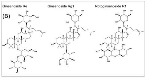 Ginsenoside Rb As An Anti Diabetic Agent And Its Underlying Mechanism