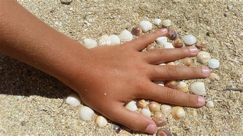 Fotos gratis mano playa arena pierna niño uña cuerpo humano