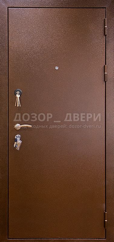 Входные двери с терморазрывом морозостойкие для дома купить от 24000 рублей
