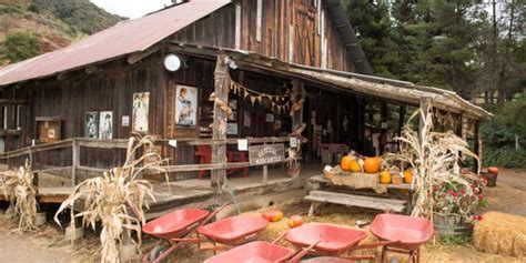 Rileys Farm Everything You Need To Know Living History Archive