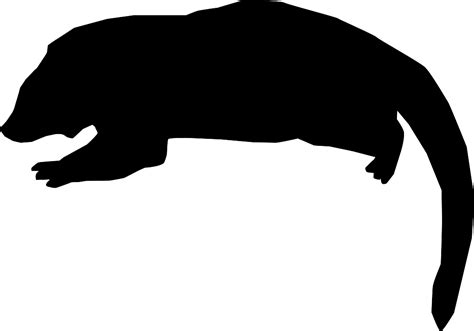 Arctictis binturong by Margot Michaud (CC0 1.0) - PhyloPic