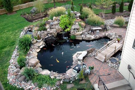 Our Koi and Ponds - Page 4 