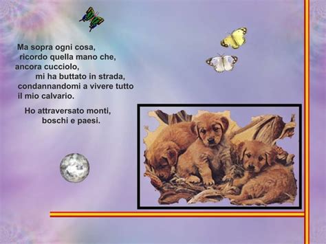 Preghiera Di Un Cane Abbandonato Ppt