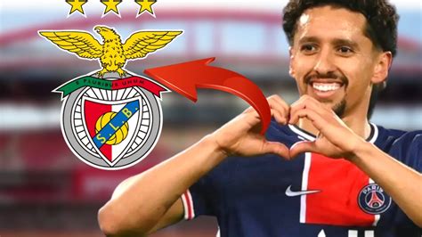 SE RENDEU AO BENFICA OLHA O QUE O MARQUINHOS FALOU DO BENFICA ULTIMAS