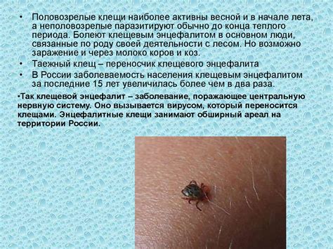 Эпидемии. Инфекционные заболевания и их классификация. Пути передачи ...