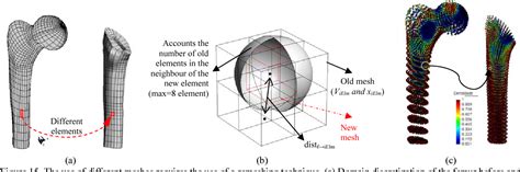 Figure 15 From A Model Of Bone Adaptation As A Topology Optimization