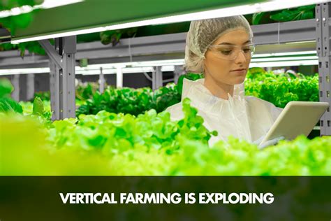 Benefits Of Vertical Farming Greenhouse Automation Systems