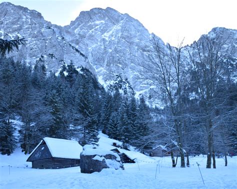 The Ultimate Guide to Winter in Zakopane [Updated 2024] - KrakowBuzz