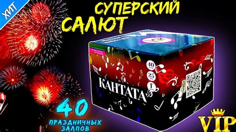 Салют 40 залпов больших веерных, фейерверк "Кантата" (веерный) 25мм = 1 ...