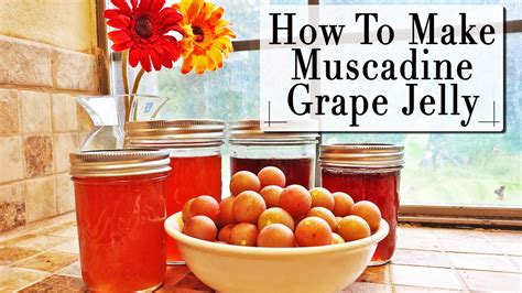 Muscadine Jelly Recipe Without Pectin | Besto Blog