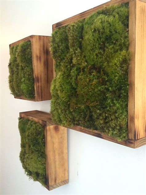 20+ Indoor Living Moss Wall – The Urban Decor