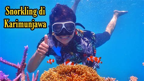 Snorkling Di Karimunjawa Melihat Terumbu Karang Yang Luas Dan Ada Ikan