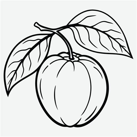 Stunning Ambarella Line Art, A Captivating Visual Journey 48913551