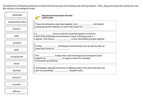 Solved Complete The Following Sentences To Describe The