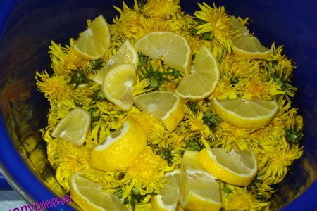 Варенье из одуванчиков - пошаговый рецепт с фото