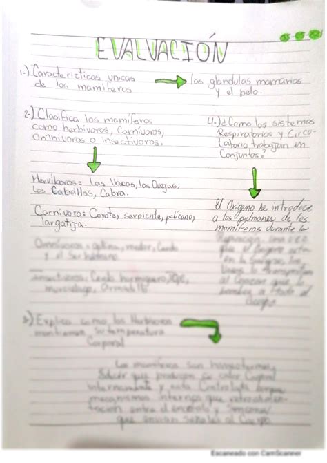 SOLUTION Biolog A Evaluaci N N 1 De Los Mam Feros Studypool