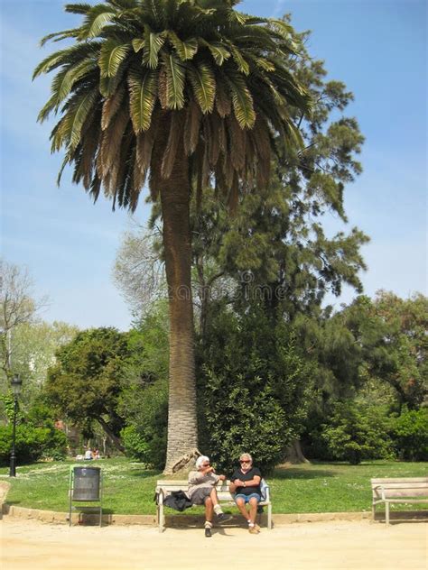 Barcelona Spain 4 April 2011 Two Gray Haired Mature Men Are Sitting